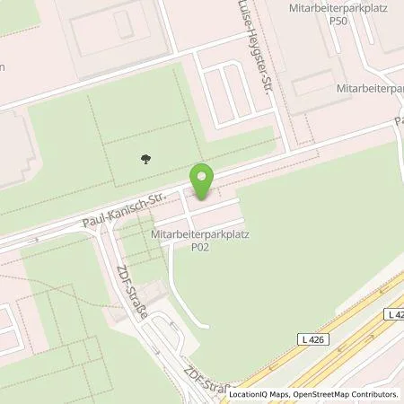 Standortübersicht der Tankstelle SCAPO mobility GmbH in 55127 Mainz