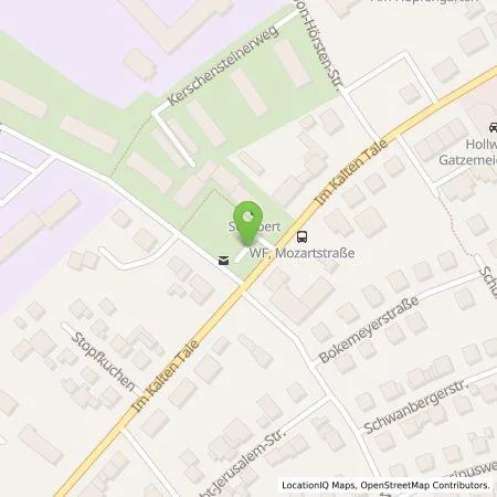 Standortübersicht der Tankstelle Wirelane GmbH in 38304 Wolfenbüttel