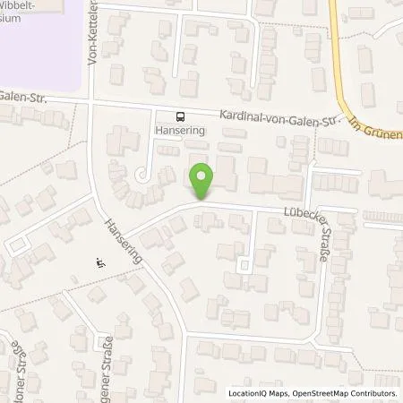 Standortübersicht der Tankstelle Wirelane Public I GmbH in 48231 Warendorf