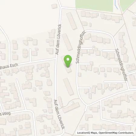 Standortübersicht der Tankstelle Wirelane Public I GmbH in 46399 Bocholt