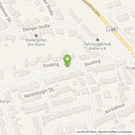 Standortübersicht der Tankstelle Wirelane Public I GmbH in 45731 Waltrop