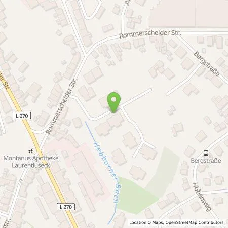 Standortübersicht der Tankstelle Wirelane Public I GmbH in 51465 Bergisch Gladbach