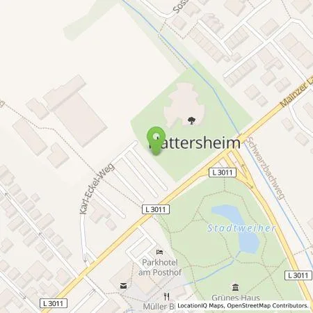 Standortübersicht der Tankstelle Wirelane Public I GmbH in 65795 Hattersheim am Main