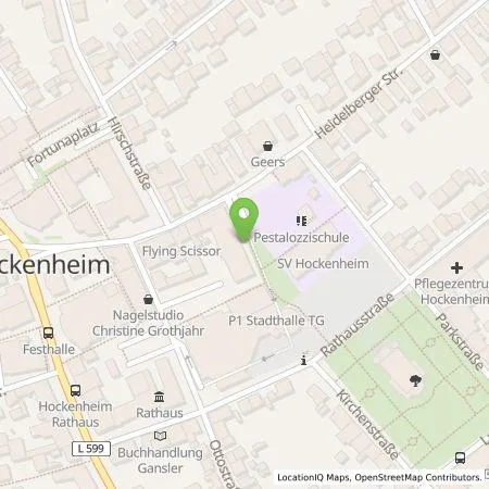 Standortübersicht der Tankstelle Wirelane Public I GmbH in 68766 Hockenheim