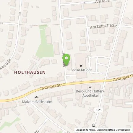 Standortübersicht der Tankstelle Wirelane Public I GmbH in 44627 Herne