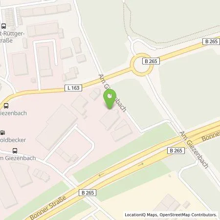 Standortübersicht der Tankstelle Racers Paradise Einzelunternehmen in 50374 Erftstadt