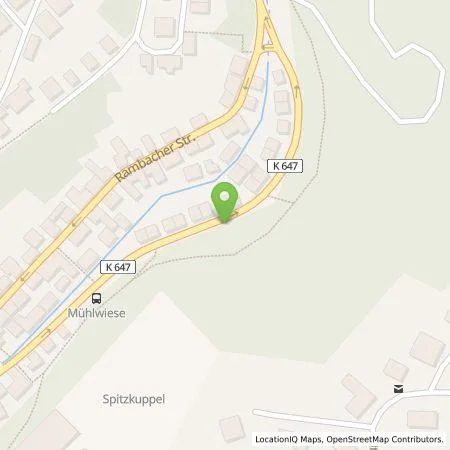 Standortübersicht der Tankstelle ESWE Versorgungs AG in 65191 Wiesbaden