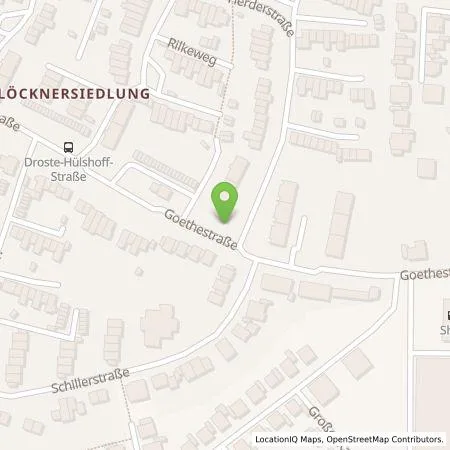 Standortübersicht der Tankstelle Wirelane Public 1 GmbH in 45731 Waltrop