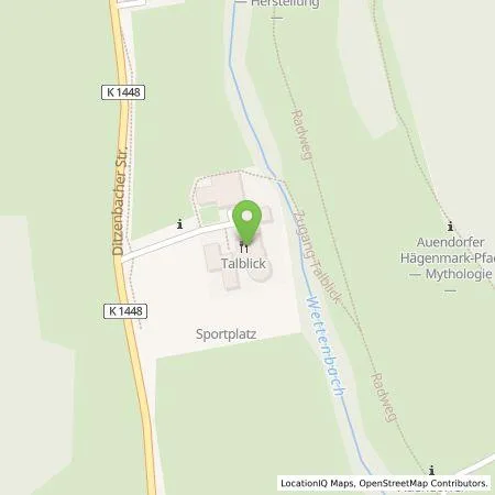 Standortübersicht der Tankstelle Wirelane Public 1 GmbH in 73342 Bad Ditzenbach-Auendorf