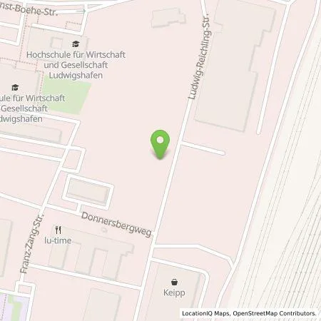 Standortübersicht der Tankstelle Wirelane Public 1 GmbH in 67059 Ludwigshafen am Rhein