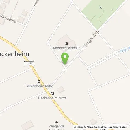 Standortübersicht der Tankstelle Wirelane Public 1 GmbH in 55546 Hackenheim