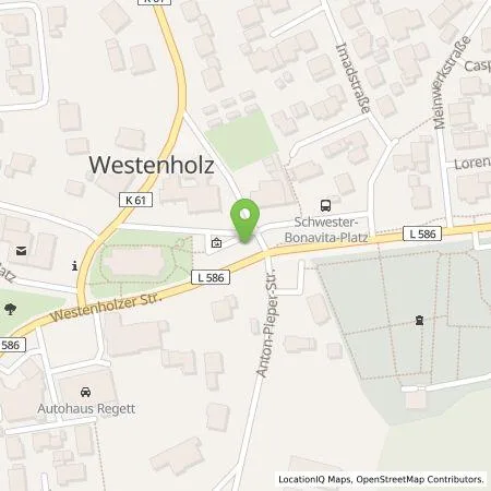 Standortübersicht der Tankstelle Wirelane Public 1 GmbH in 33129 Delbrück