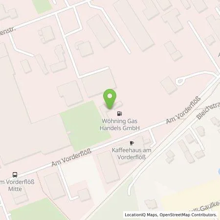 Standortübersicht der Tankstelle Citywatt GmbH in 33175 Bad Lippspringe
