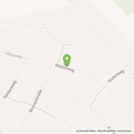 Standortübersicht der Tankstelle Autohaus Manz in 92521 Schwarzenfeld