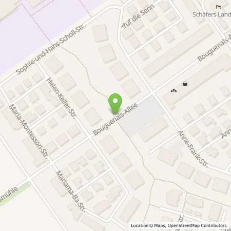 Standortübersicht der Tankstelle Mainzer Stadtwerke AG in 65462 Ginsheim