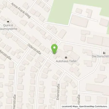 Standortübersicht der Tankstelle Mainzer Stadtwerke AG in 65468 Trebur