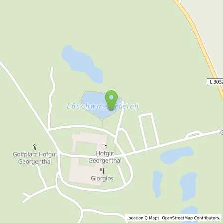 Standortübersicht der Tankstelle Hofgut Georgenthal GmbH & Co.KG in 65329 Hohenstein