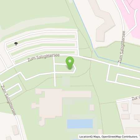 Standortübersicht der Strom (Elektro) Tankstelle: WEVG Salzgitter GmbH & Co. KG in 38226, Salzgitter