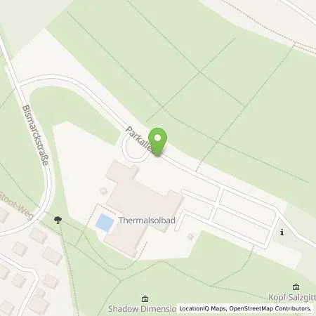 Standortübersicht der Tankstelle WEVG Salzgitter GmbH & Co. KG in 38259 Salzgitter