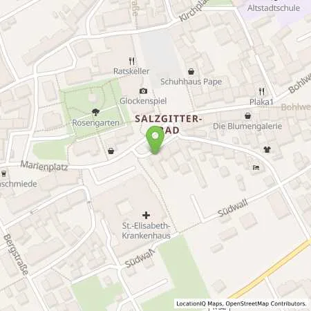Standortübersicht der Tankstelle WEVG Salzgitter GmbH & Co. KG in 38259 Salzgitter
