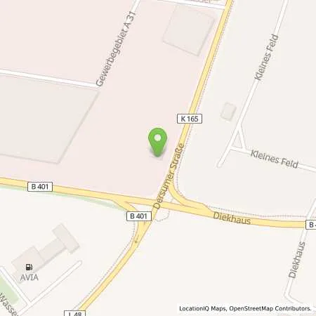 Standortübersicht der Tankstelle EWE Go GmbH in 26892 Heede