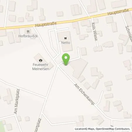 Standortübersicht der Tankstelle LSW Energie GmbH & Co. KG in 38536 Meinersen