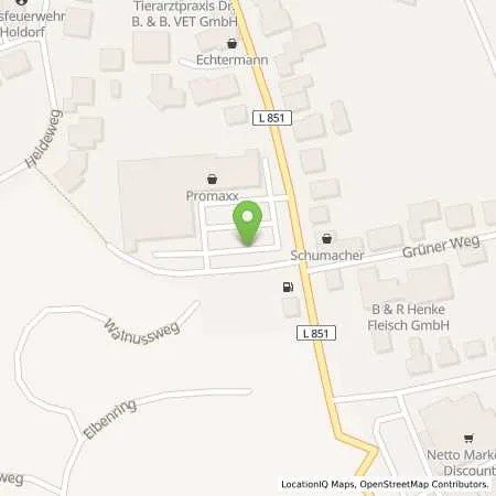 Standortübersicht der Tankstelle EWE Go GmbH in 49451 Holdorf