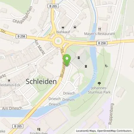 Standortübersicht der Tankstelle Energie Nordeifel GmbH&Co. KG in 53937 Schleiden