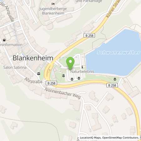 Standortübersicht der Strom (Elektro) Tankstelle: Energie Nordeifel GmbH&Co. KG in 53945, Blankenheim