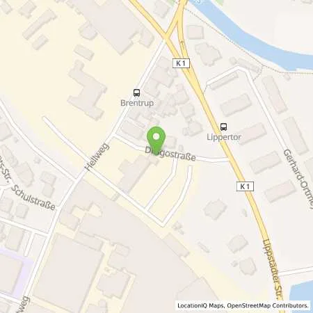 Standortübersicht der Tankstelle Walter Fritz Deutsche Gesellschaft für Energieversorgung mbH in 33378 Rheda-Wiedenbrück