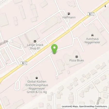 Standortübersicht der Tankstelle Westfalen Weser Netz GmbH in 33154 Salzkotten