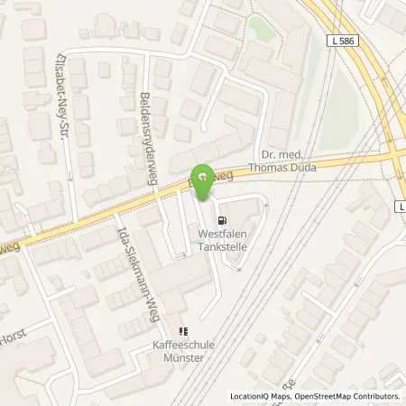 Standortübersicht der Tankstelle Westfalen AG in 48147 Münster