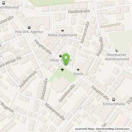 Standortübersicht der Tankstelle Mainzer Stadtwerke AG in 55120 Mainz