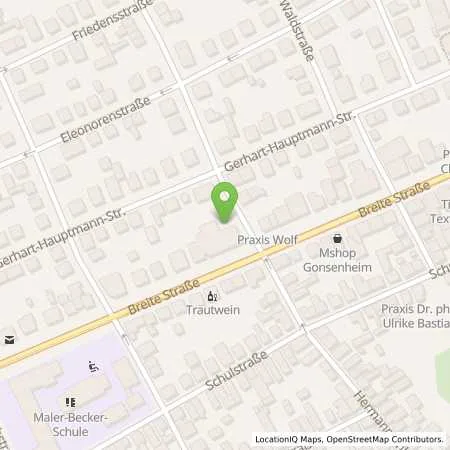 Standortübersicht der Tankstelle EWR AG in 55124 Mainz