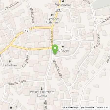 Standortübersicht der Tankstelle Mainzer Stadtwerke AG in 55129 Mainz