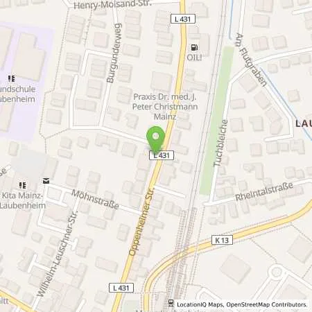 Standortübersicht der Tankstelle Mainzer Stadtwerke AG in 55130 Mainz