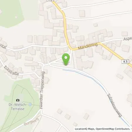 Standortübersicht der Tankstelle Stadtwerke Neustadt an der Weinstraße GmbH in 67433 Neustadt