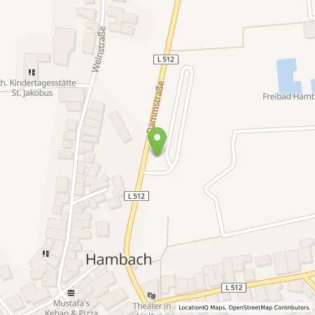 Standortübersicht der Tankstelle Stadtwerke Neustadt an der Weinstraße GmbH in 67434 Neustadt