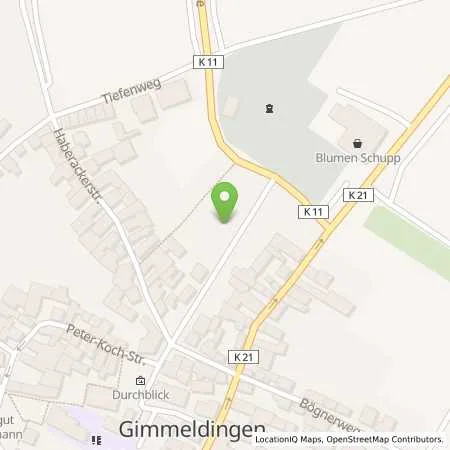 Standortübersicht der Tankstelle Stadtwerke Neustadt an der Weinstraße GmbH in 67435 Gimmeldingen