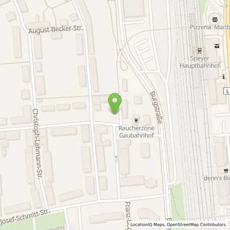 Standortübersicht der Tankstelle Stadtwerke Speyer GmbH in 67346 Speyer