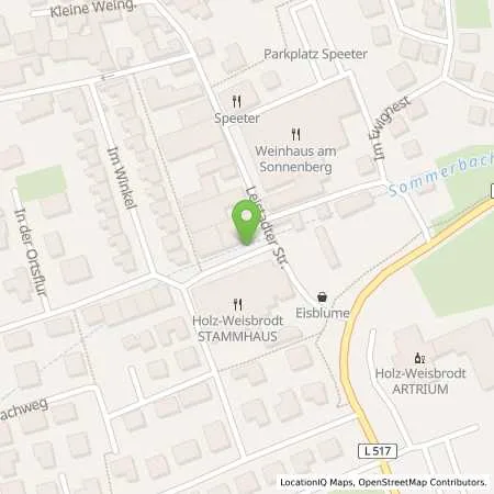 Standortübersicht der Tankstelle Pfalzwerke AG in 67273 Weisenheim am Berg