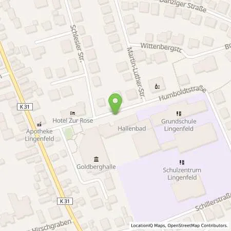 Standortübersicht der Tankstelle Pfalzwerke AG in 67360 Lingenfeld