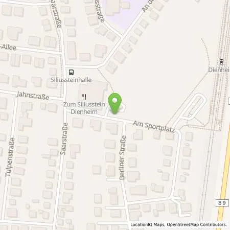 Standortübersicht der Tankstelle EWR AG in 55276 Dienheim