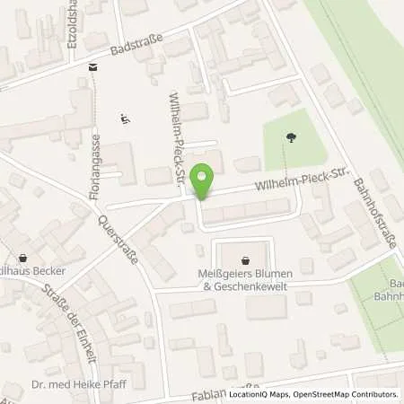 Standortübersicht der Tankstelle Privatperson in 04651 Bad Lausick