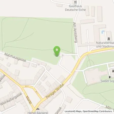 Standortübersicht der Tankstelle envia Mitteldeutsche Energie AG in 08396 Waldenburg