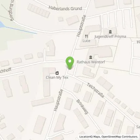 Standortübersicht der Tankstelle ewerk Sachsenwald GmbH in 21465 Wentorf