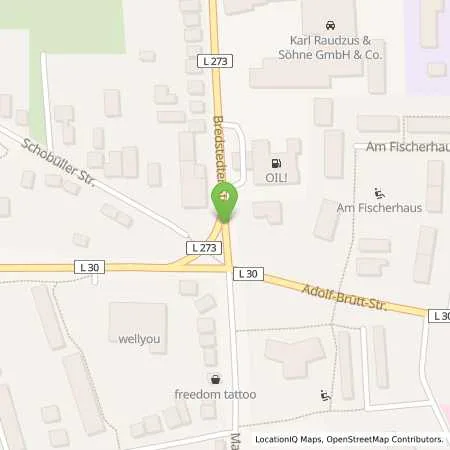 Standortübersicht der Tankstelle Autohaus Karl Raudzus & Söhne GmbH & Co. KG in 25813 Husum