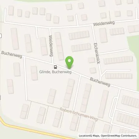 Standortübersicht der Tankstelle ewerk Sachsenwald GmbH in 21509 Glinde