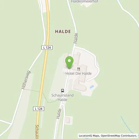Standortübersicht der Tankstelle Energiedienst Holding AG in 79254 Oberried (Hofsgrund)
