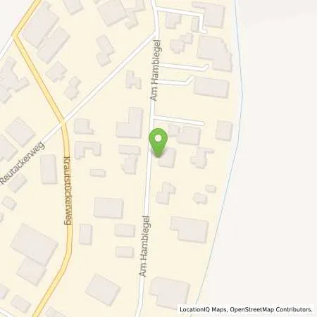 Standortübersicht der Tankstelle Energie- und Wasserversorgung Bruchsal GmbH in 76706 Dettenheim (Liedolsheim)